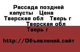 Рассада поздней капусты › Цена ­ 10 - Тверская обл., Тверь г.  »    . Тверская обл.,Тверь г.